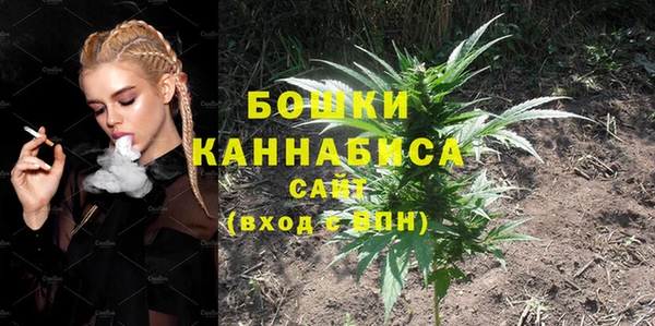 ECSTASY Кодинск