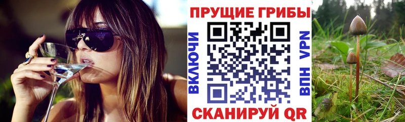 Псилоцибиновые грибы мухоморы  Красноуральск 